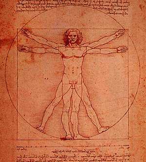 vitruvian-300-333