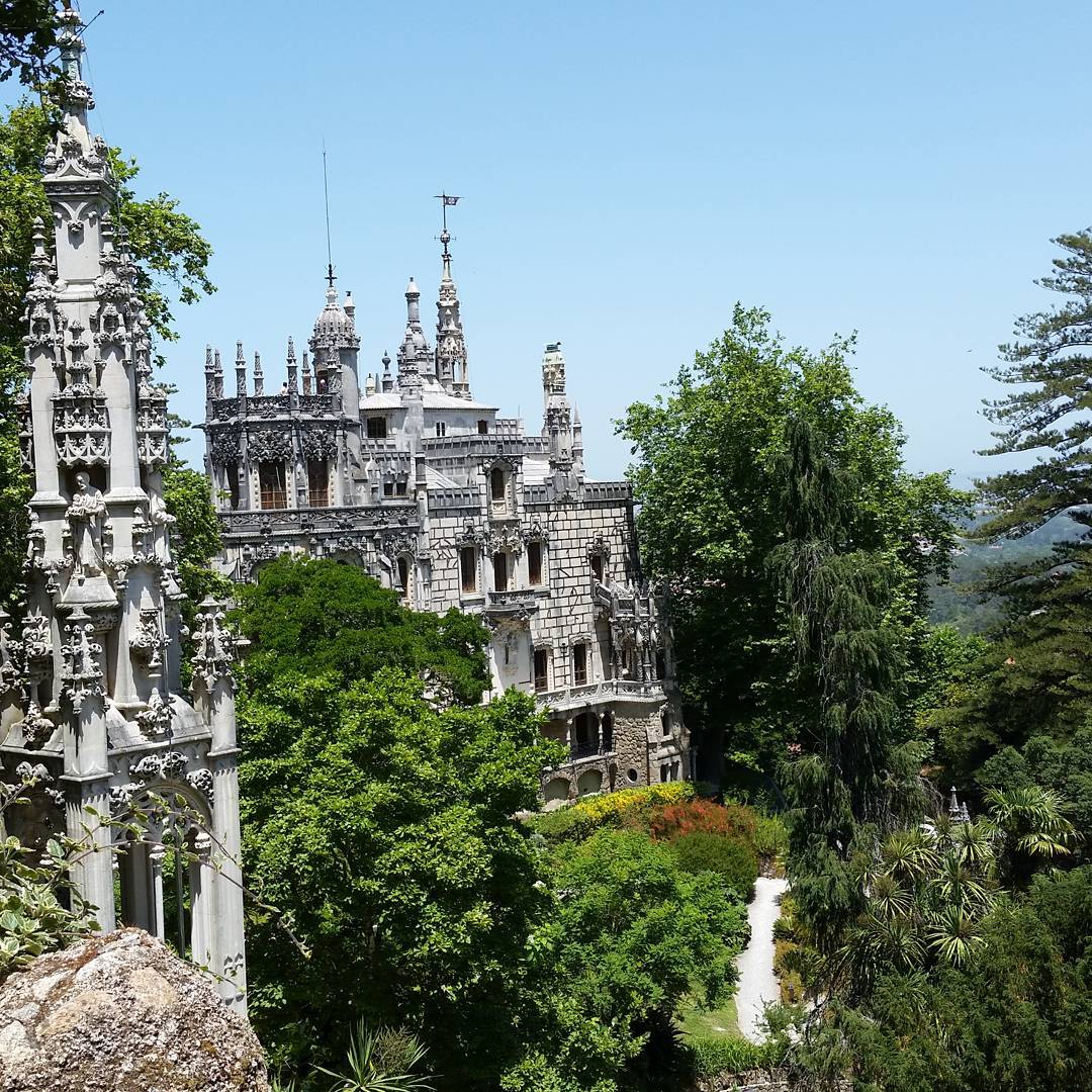 13534190_700847996722408_1311640066_n